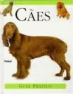 CAES - GUIA PRATICO