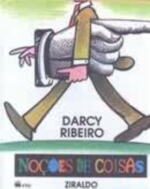 NOCOES DE COISAS