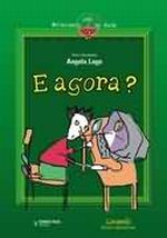 E AGORA?