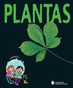 PLANTAS