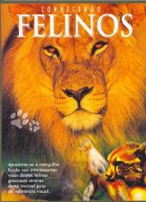 CONHECENDO... FELINOS