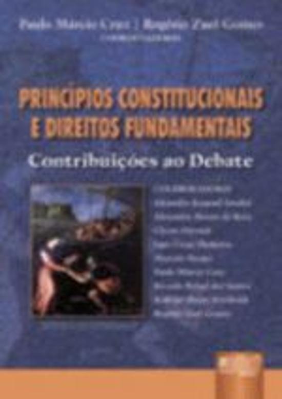 PRINCIPIOS CONSTITUCIONAIS E DIREITOS FUNDAMENTAIS