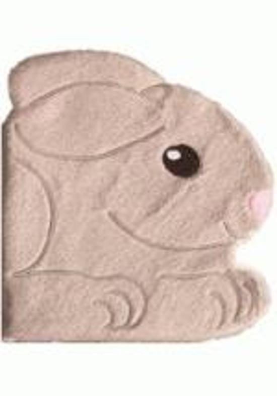 ANIMAIS CARINHOSOS - COELHINHO (CAPA DE PELUCIA)