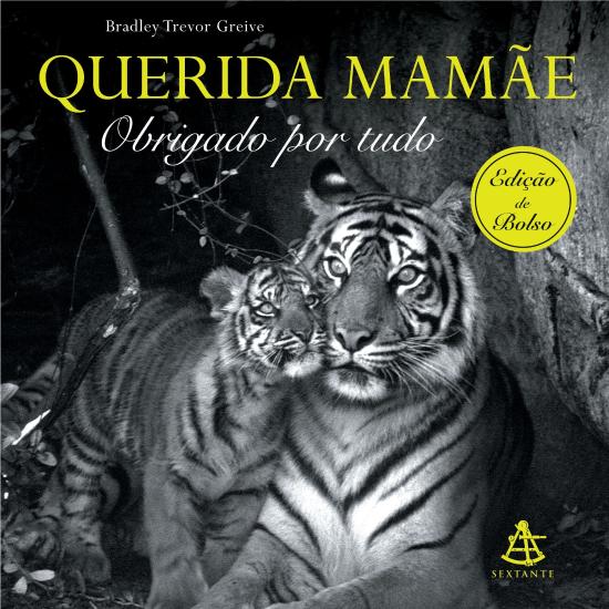 QUERIDA MAMAE, OBRIGADO POR TUDO (BOLSO)