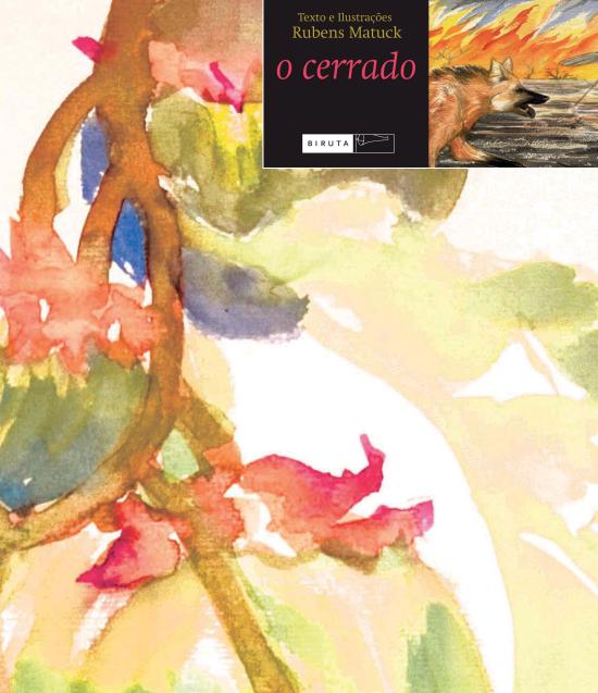 CERRADO, O