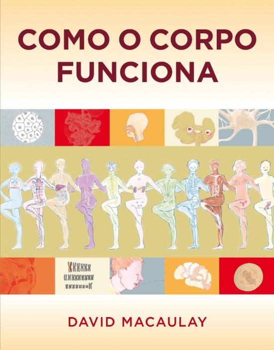 COMO O CORPO FUNCIONA