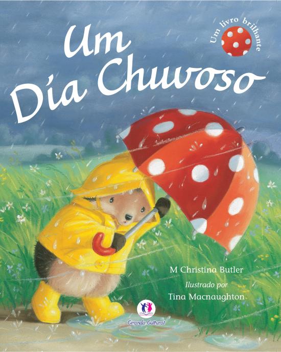 UM DIA CHUVOSO