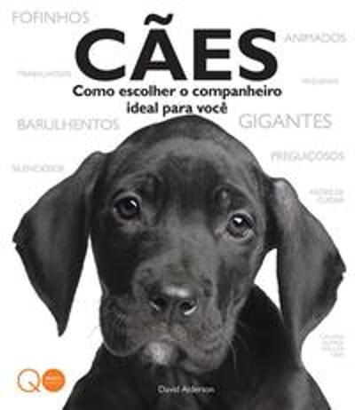 CAES - COMO ESCOLHER O COMPANHEIRO IDEAL PARA VOCE