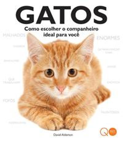 GATOS - COMO ESCOLHER O COMPANHEIRO IDEAL PARA VOC