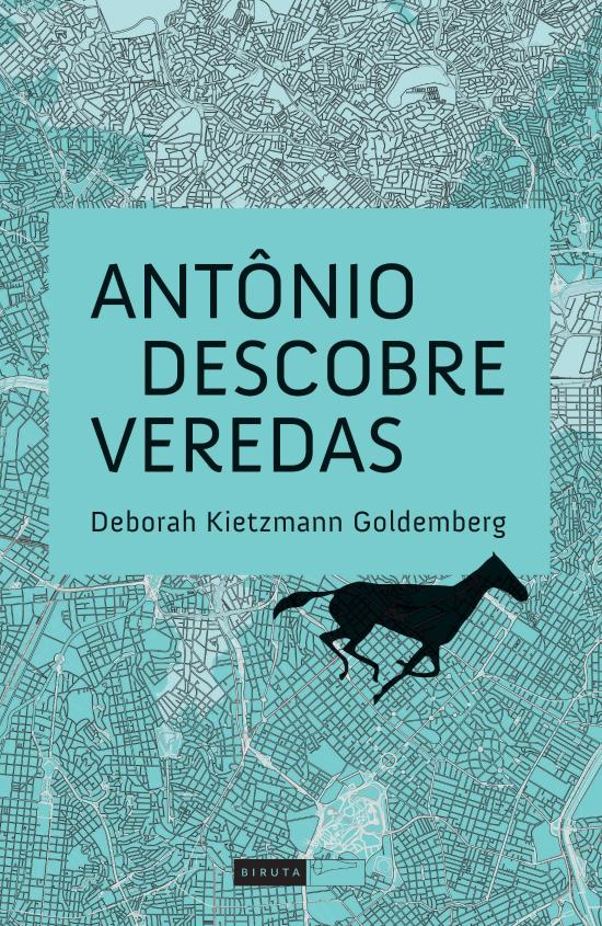 ANTONIO DESCOBRE VEREDAS