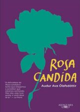 ROSA CANDIDA