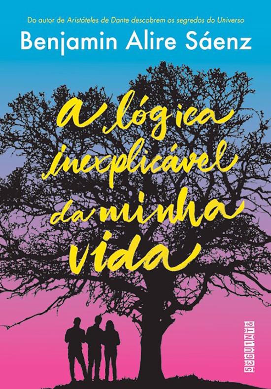 LOGICA INEXPLICAVEL DA MINHA VIDA, A