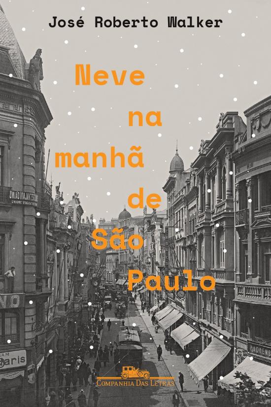 NEVE NA MANHA DE SAO PAULO