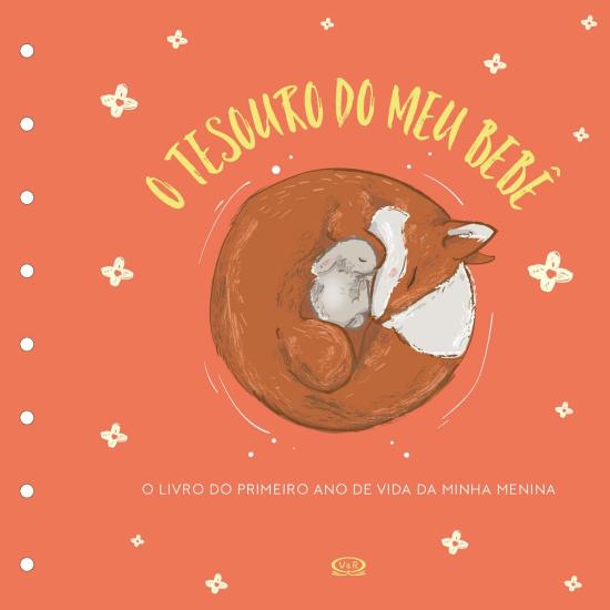 TESOURO DO MEU BEBE - O LIVRO DE RECORDACOES