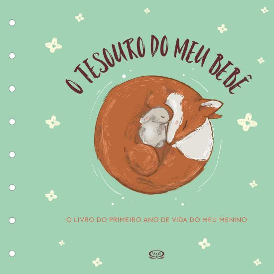 TESOURO DO MEU BEBE - O LIVRO DE RECORDACOES (VERD